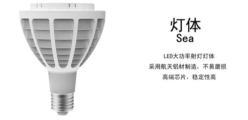 【熱銷30W大功率LED射燈 led裝飾燈 led綠化燈 led工業照明燈具】價格,廠家,圖片,LED射燈,深圳市華燈明月照明科技-