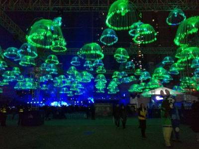 首屆自貢國際燈光節(jié)開幕 將持續(xù)到至3月2日