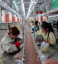 建湖縣突出新特產業發展 支撐沿海開發