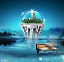 中資收購受阻 中國led企業路在何方