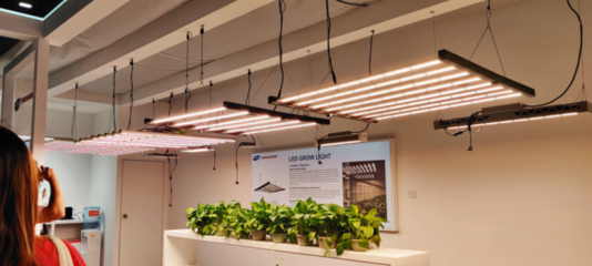 直擊2021光亞展!