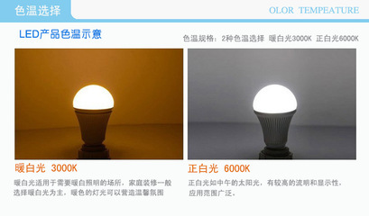 COB筒燈選購指南 從規格到廠家的全方位解析