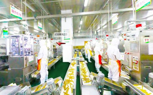 科技賦予的上帝視角 火星情報(bào)局局長(zhǎng)汪涵帶你偵查金鑼工廠照明科技